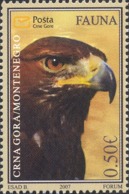 2007, Fauna, Birds, Montenegro, MNH - Montenegro