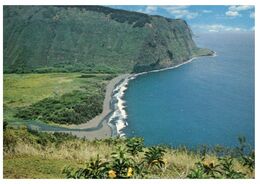 (E 5) USA - Hawaii - Waipio Valley - Big Island Of Hawaii