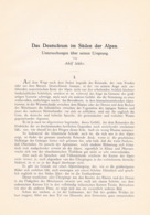 648 - Adolf Schiber Deutschtum Im Süden Der Alpen Etymologie Artikel Von 1903  !! - Politica Contemporanea