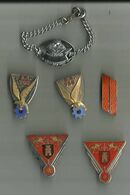 5 Insignes  Militaire Plus   Medaillon Base BE 720 A Orange - Other & Unclassified