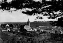 Oudon * Vue Sur L'église Prise Des Coteaux Du Havre - Oudon