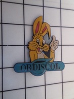 515b Pin's Pins / Beau Et Rare / THEME : INFORMATIQUE / LAPIN JAUNE ORDISCOL - Informatik