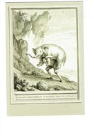 Cpm - La Fontaine Gravure J.B. Oudry - Les Deux Aventuriers Et Le Talisman - Homme éléphant - Elefantes