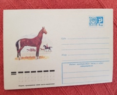 RUSSIE (ex URSS) Chevaux, Cheval, Horse, Caballo. Entier Postal Neuf émis En  1977 (9) - Caballos