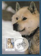 AAT 1994  Mi.Nr. 100 , The Last Huskies - Maximum Card - First Day Of Issue 13. January 1994 - Cartes-maximum