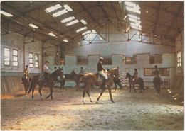 Yonne :  CERISIERS :  Haras  De  Villechétive , Centre  équestre D. Doyen , Le  Manège ,  Cheval - Cerisiers