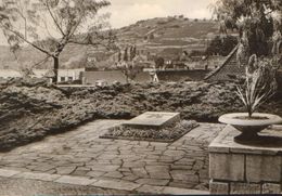 Germany - Postcard Written 1970 - Freyburg(Unstrut) -  Friedrich Ludwig Jahn Memorial  - 2/scans - Freyburg A. D. Unstrut