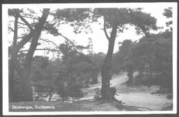 Nederland Holland Pays Bas Driebergen Z/w Stuifduinen - Driebergen – Rijsenburg