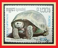 113.KAMPUCHEA 1987 USED STAMP TURTLES . - Kampuchea