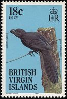 Iles Vierges Britanniques. British Virgin Islands. 1985    Ani à Bec Lisse. Smooth-billed Ani - Koekoeken En Toerako's