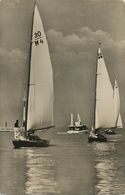 Voile Yachting . Voilier . Sailing Boat. Balaton Lake Hungary . Regate . - Zeilen