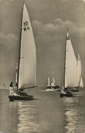 Voile Yachting . Voilier . Sailing Boat. Balaton Lake Hungary . Regate . - Voile