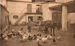 Piétrebais  (brabant) La Ferme N'a Pas Circulé - Incourt