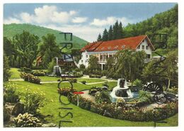 Allemagne. Hotel Haus Hubertus. Gartenseite. Post Mayen/Eifel. Hôtel, Jardin, Roue à Aubes, Fontaines, ... - Mayen