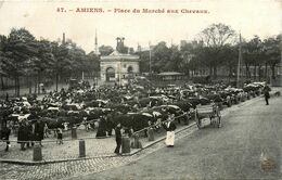 Amiens * Place Du Marché Aux Chevaux * Foire Bovins - Amiens