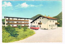 A-4436    WÖRGL : Pension Mitterer - Wörgl