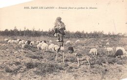 Landes     40      Non Localisé  .Échassier Filant En Gardant Son Troupeau De Moutons     3      (voir Scan) - Otros & Sin Clasificación