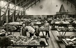 Nederland, AALSMEER, De Bloemenveiling Zaal Bloemenlust (1950s) Ansichtkaart - Aalsmeer