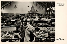 Nederland, AALSMEER, De Bloemenveiling (1950s) Foto Theo Wenzel Ansichtkaart - Aalsmeer