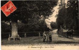 CPA THOIRY - Sous Le Tilleul (102916) - Thoiry