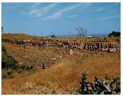 (E 15) Australia - TAS - Swansea Spikey (historic) Bridge - Andere & Zonder Classificatie