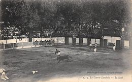 Landes     40      Tauromachie. Course Landaise  Le Saut     (voir Scan) - Andere & Zonder Classificatie