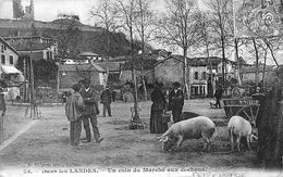 Peyrehorade      40       Un Coin Du Marché Aux Cochons        (voir Scan) - Peyrehorade