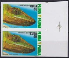 2010.632 CUBA MNH 2010 IMPERFORATED PROOF PAIR 40c FAUNA Y FLORA LIZARD LAGARTO CHIPOJO. - Imperforates, Proofs & Errors