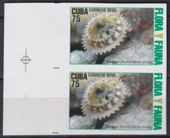 2010.633 CUBA MNH 2010 IMPERFORATED PROOF PAIR 75c FAUNA Y FLORA CARACOL SNAIL - Non Dentelés, épreuves & Variétés