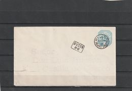 Argentina BUZONISTAS CAPITAL BUZON PS COVER 1891 - Storia Postale