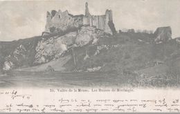 VALLEE DE LA MEUSE  LES RUINES DE MONTAIGLE - Onhaye