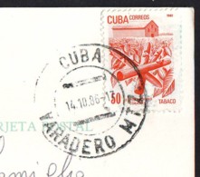 Exportations, Stamp Of Cuba Year 1982  On Postcard - Lettres & Documents