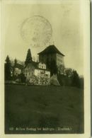 SWITZERLAND - SCHLOSS HEIDEGG BEI GELFINGEN - HITZKIRCH. - VERLAG GLOBETROTTE - RPPC POSTCARD 1930s ( BG8982) - Gelfingen