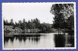 MEZIÈRE SUR ISSOIRE (87) ETANG DE LA CÔTE, CARTE VIERGE - Meziere Sur Issoire