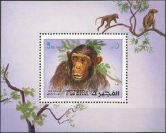 FUJEIRA - SOUVENIR SHEET APES, CHIMPANZEE 1972 - MNH - Chimpancés