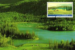 " PAYSAGE DE CHINE " Sur Carte Maximum De CHINE De 2006. Parfait état. CM - Maximum Cards