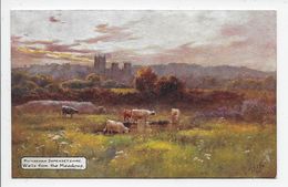 WELLS From The Meadows - Artist A De Breanski - Tuck Oilette 7795 - Wells