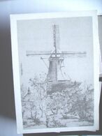 Nederland Holland Pays Bas Wolvega Met Molen Windlust - Wolvega