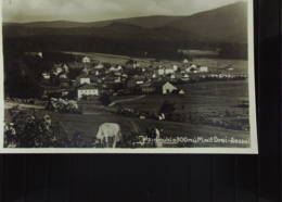 AK Bayern Ansichtskarte Von Haidmühle (Freyung) Mit Drei-Sessel   Um 1920 - Freyung