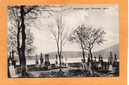 Daun Eifel Weinfelder Totenmaar  Germany 1907 Postcard - Daun