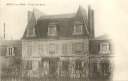 MEUNG SUR LOIRE CHATEAU DES MARAIS - Other & Unclassified