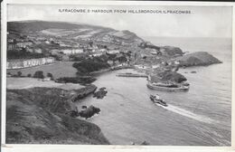 Ilfracombe - Harbour From Hillsborough - Ilfracombe