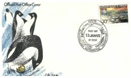 (E 24) Australia Antarctic Territory (2 Covers) - 1972 - Casey Postmarks - FDC