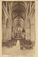 Belley - La Cathédrale: Intérieur - Belley