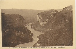 Belley - (Environs) - Les Gorges Du Rhône Et Le Fort De Pierre Chatel - Belley