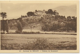 Belley - (Environs) - Chateau De Grammont - Belley