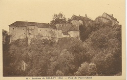 Belley - (Environs) - Le Fort De Pierre Chatel - Belley
