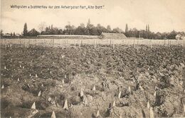 Oude God / Wolfsgruben U. Dratverhau Vor Dem Antwerpener Fort " Alte  Gott " / Verdedigingsgordel Met Houten Punten ?? - Mortsel