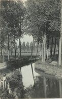 Puurs / Puers : Landschap ( Zeutweg ) 1908 - Puurs