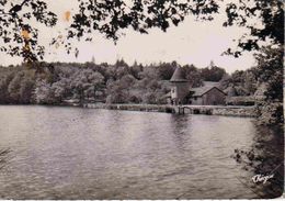 87 FEYTIAT L'étang De Puytison Et Le Moulin - Sonstige Gemeinden